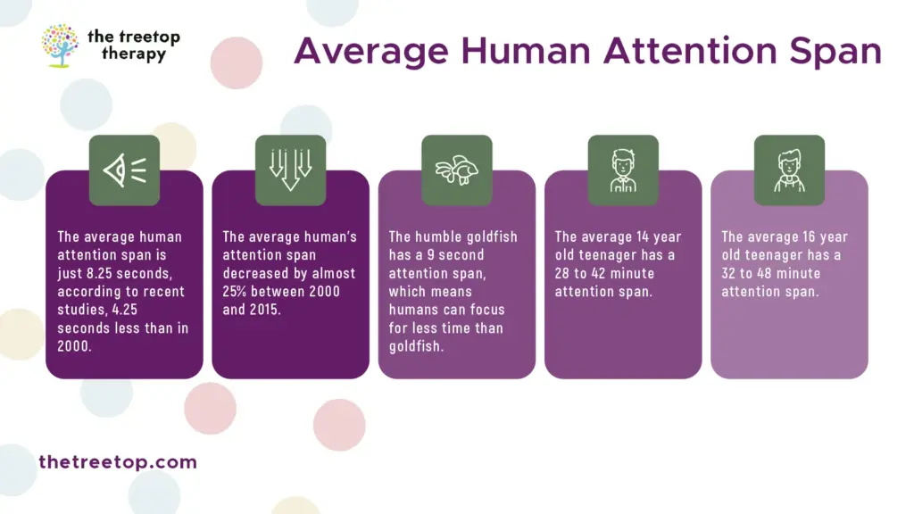 Image explaining the average human attention span, useful when creating flag charts.